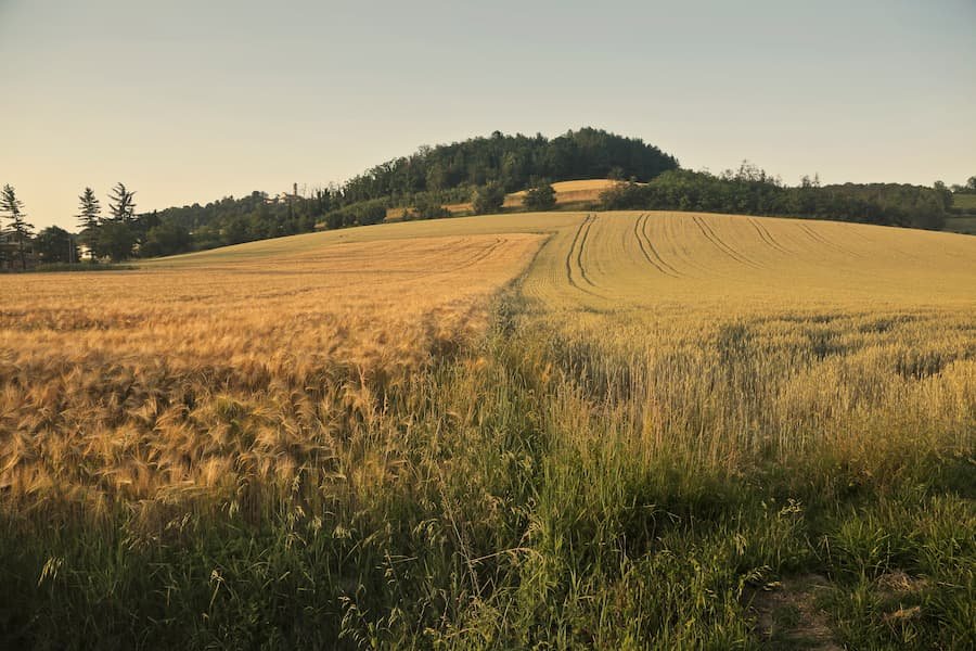 Alojamiento rural en Granada