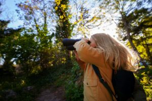 observación de aves