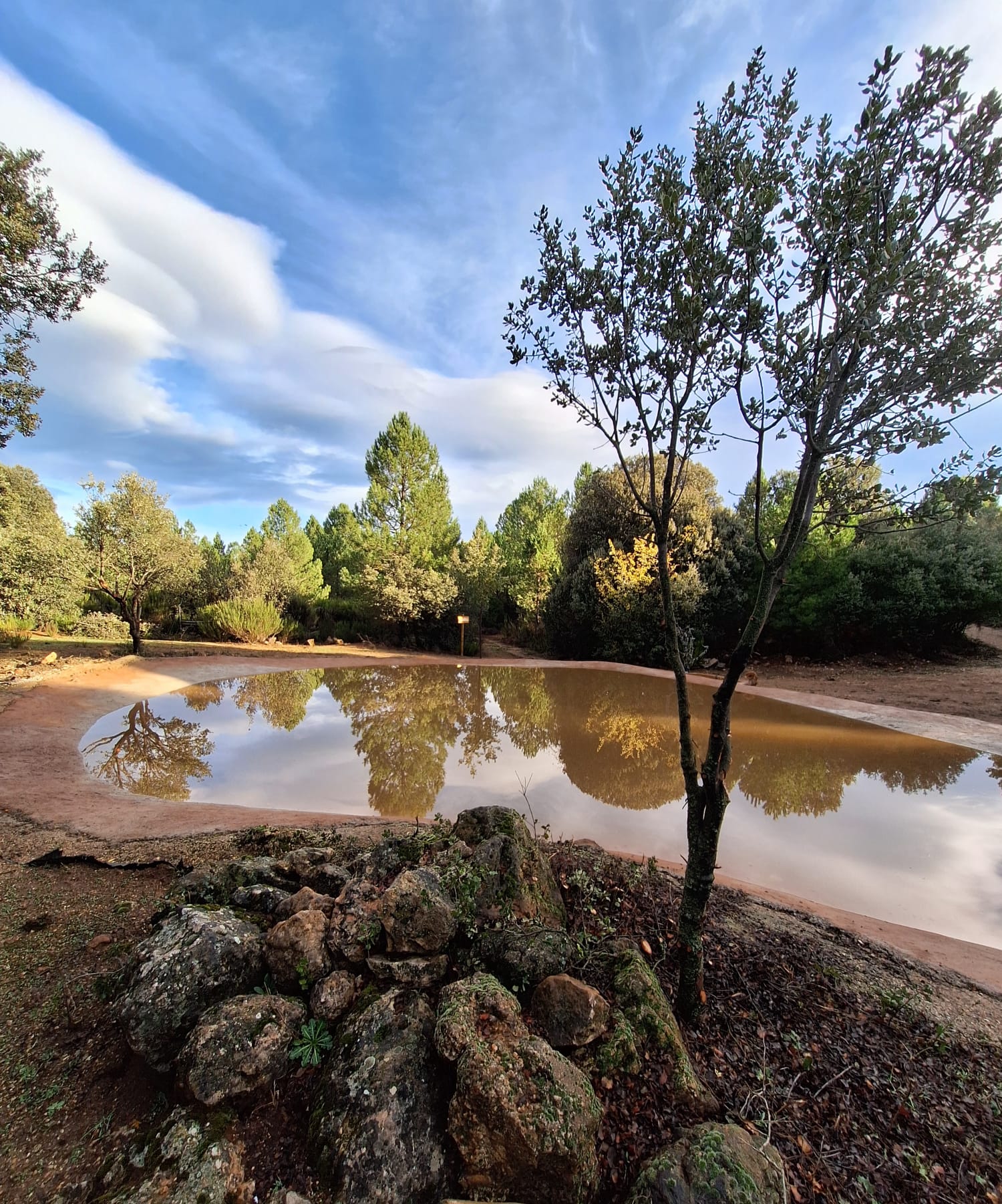 Imagen de WhatsApp 2025-11-09 a las 22.14.25_e208b261