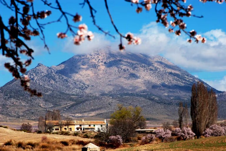 Escapada rural Andalucía